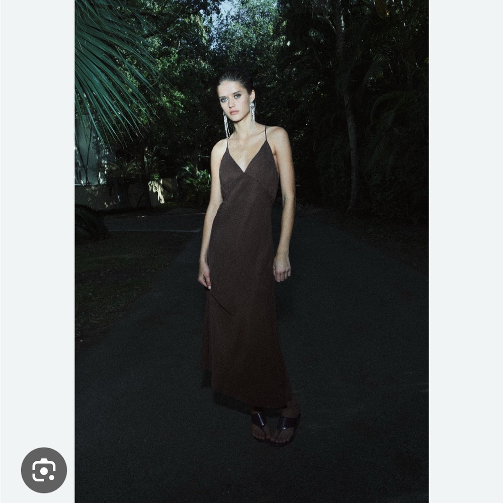 Zara Chic Backless Brown Dress